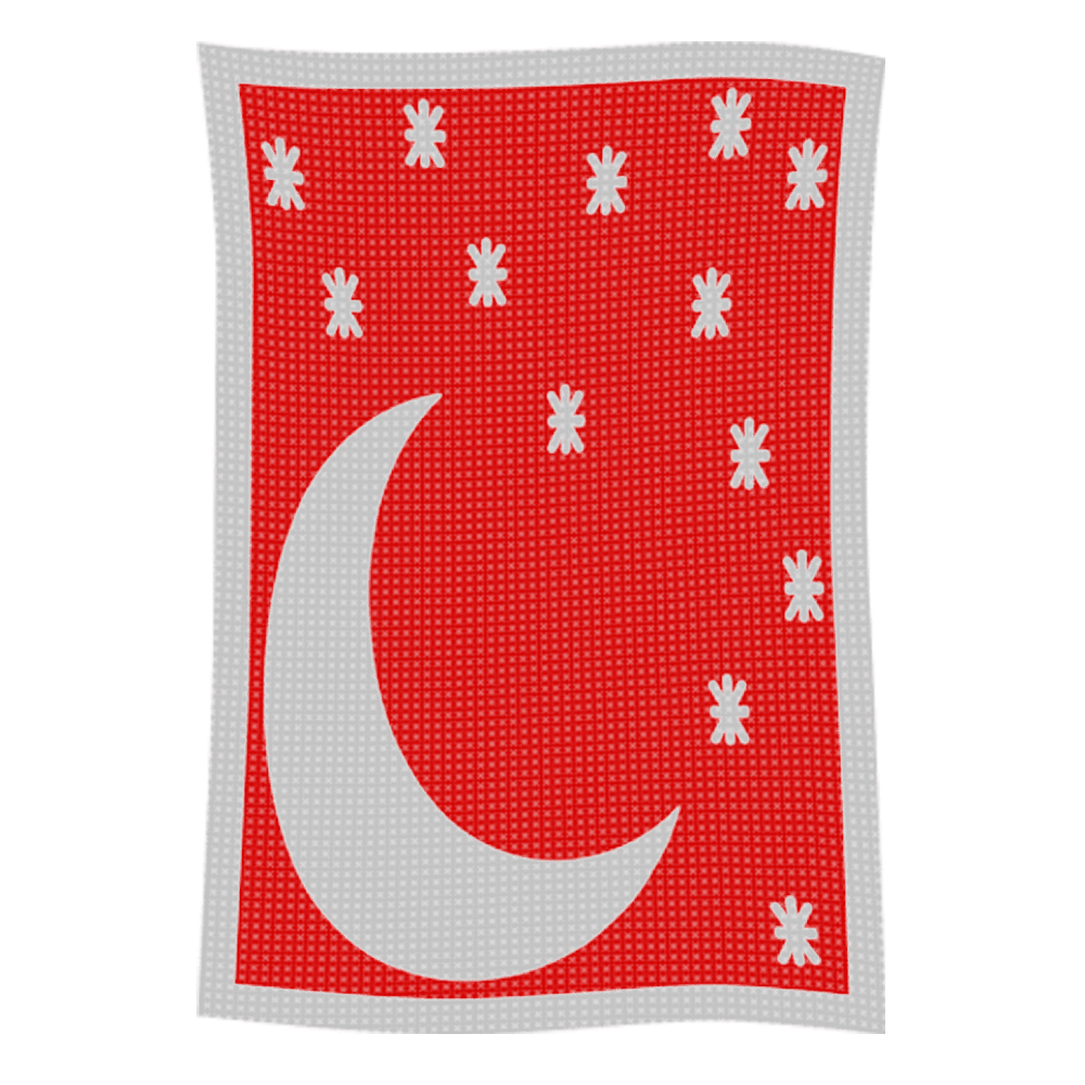 Metallic Moon & Stars Name Blanket - Image 47